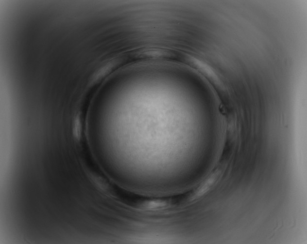 X0000092250158200709211107