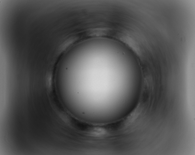 X0000092250159200709211107