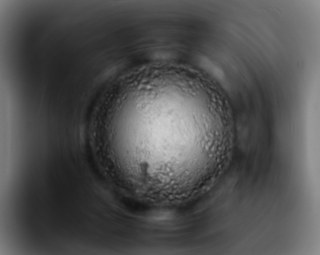 X0000092250161200709211107