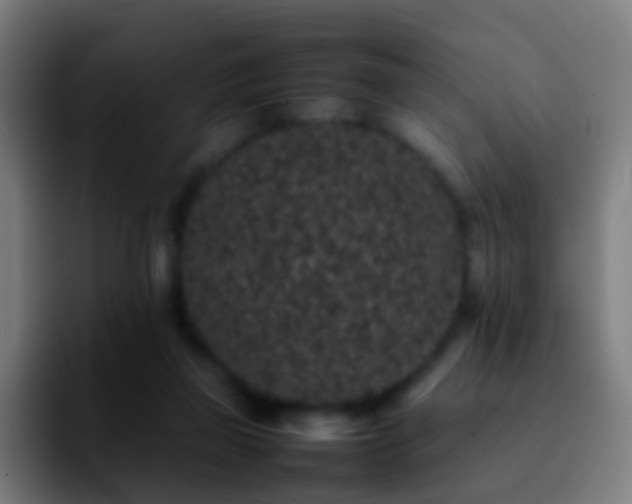 X0000092250165200709211108