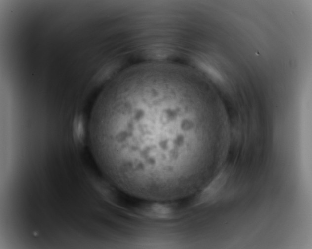 X0000092250166200709211108