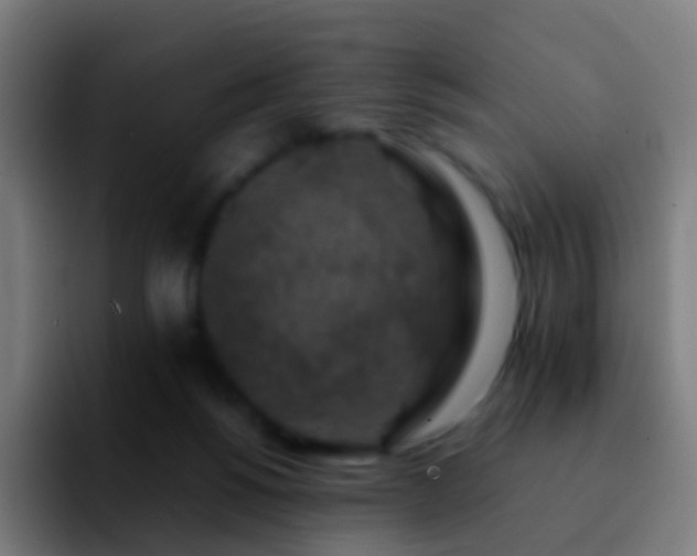 X0000092250168200709211108