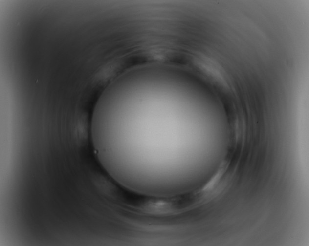 X0000092250174200709211108