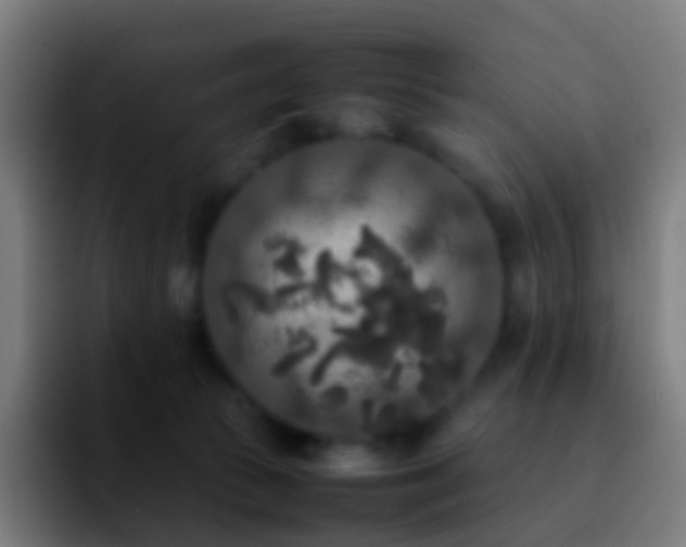 X0000092250177200709211108