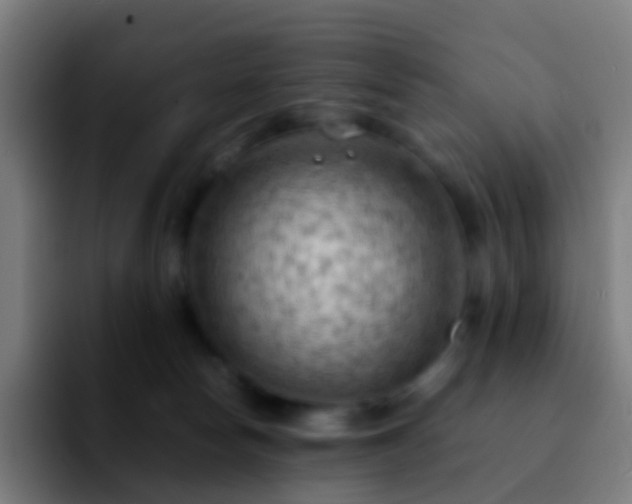 X0000092250178200709211108