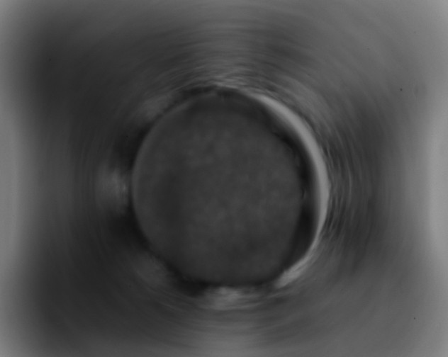 X0000092250180200709211108