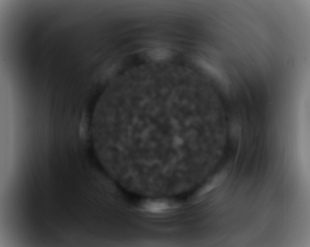 X0000092250181200709211108