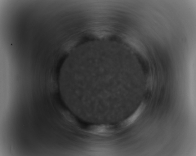 X0000092250182200709211108