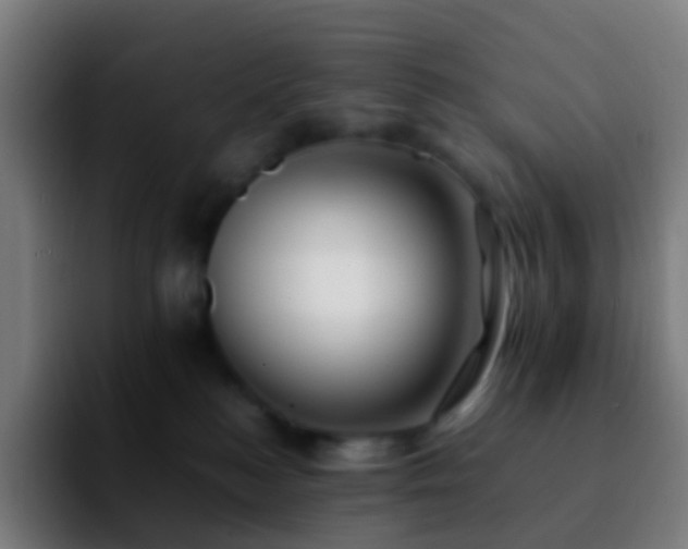 X0000092250184200709211108