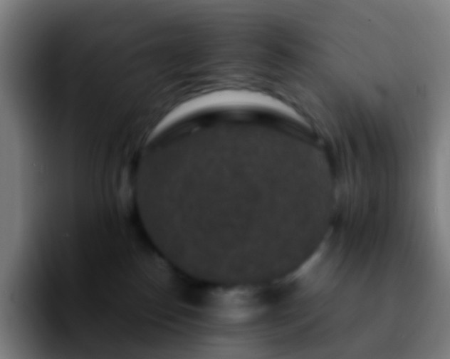 X0000092250186200709211108