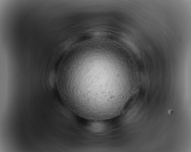 X0000092250189200709211108