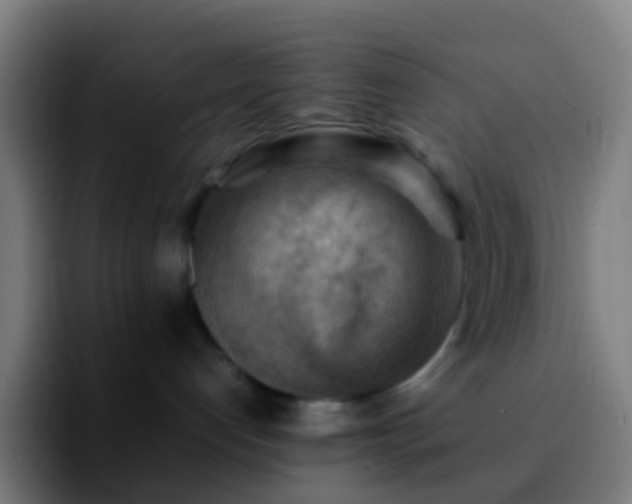 X0000092250192200709211108