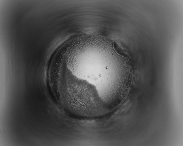 X0000092250194200709211107