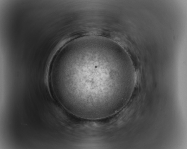 X0000092250195200709211107