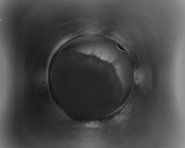 X0000092250196200709211107