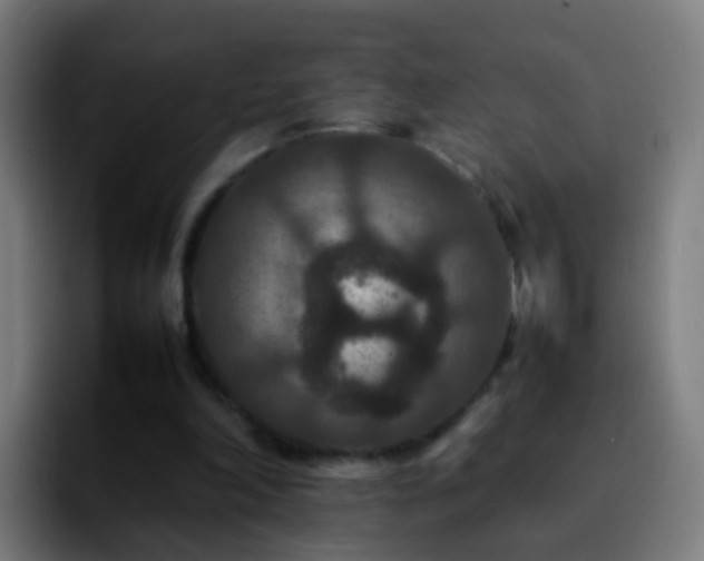 X0000092250198200709211107