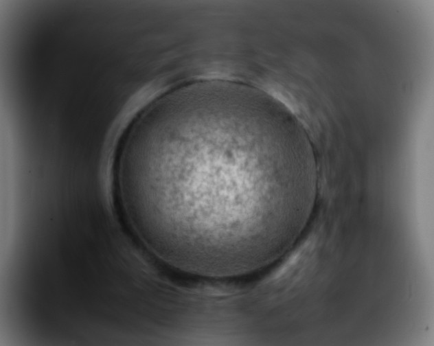 X0000092250199200709211107