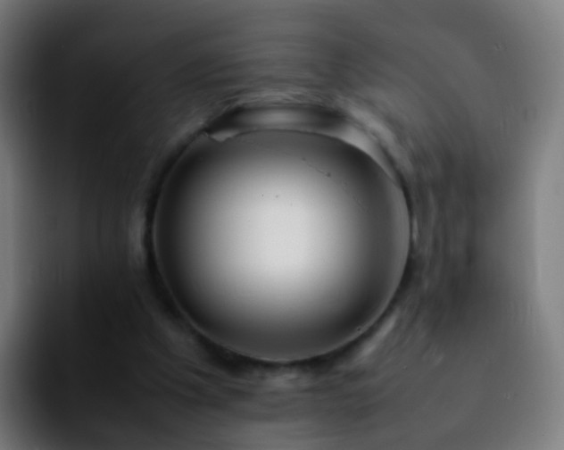 X0000092250201200709211107