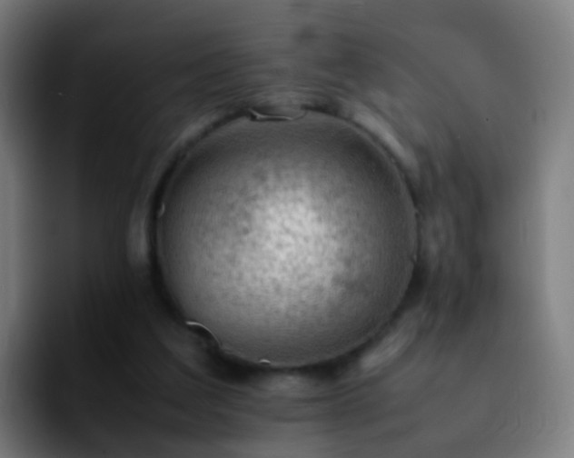 X0000092250203200709211107