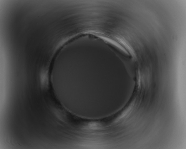 X0000092250204200709211107