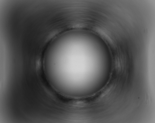 X0000092250208200709211107