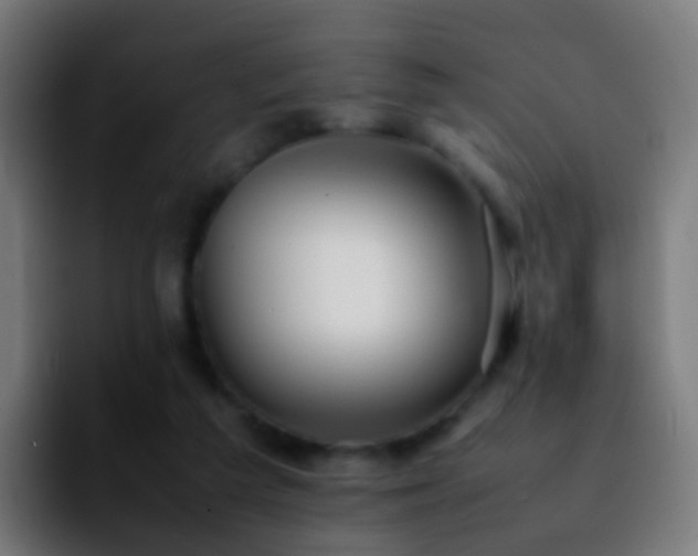 X0000092250209200709211107