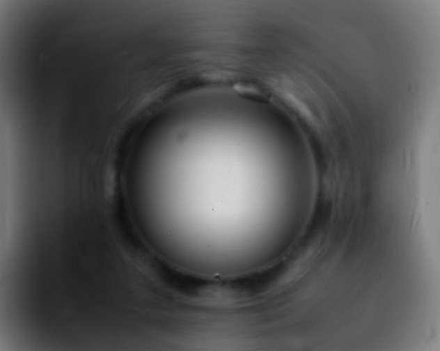 X0000092250211200709211107