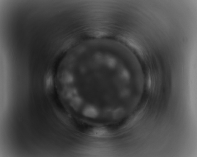 X0000092250214200709211107