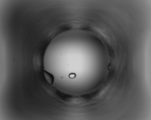 X0000092250215200709211107