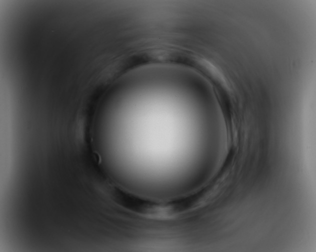 X0000092250217200709211107