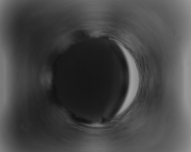 X0000092250219200709211107