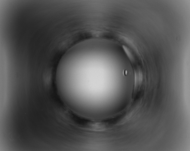 X0000092250221200709211107