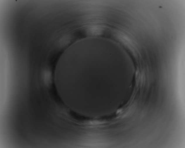 X0000092250224200709211107