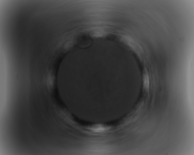 X0000092250227200709211107