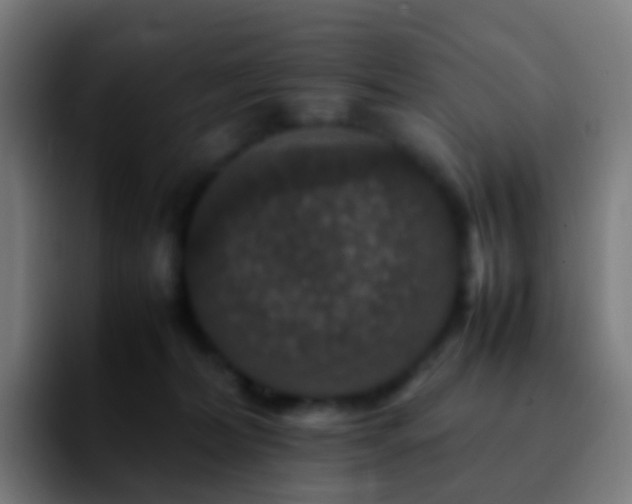 X0000092250228200709211107