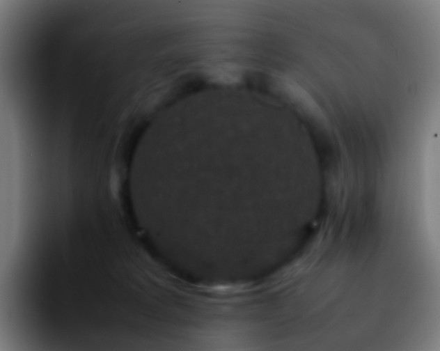 X0000092250229200709211107