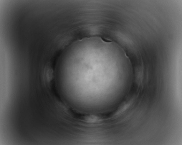 X0000092250230200709211107