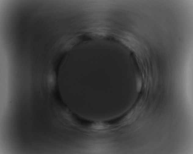 X0000092250231200709211107