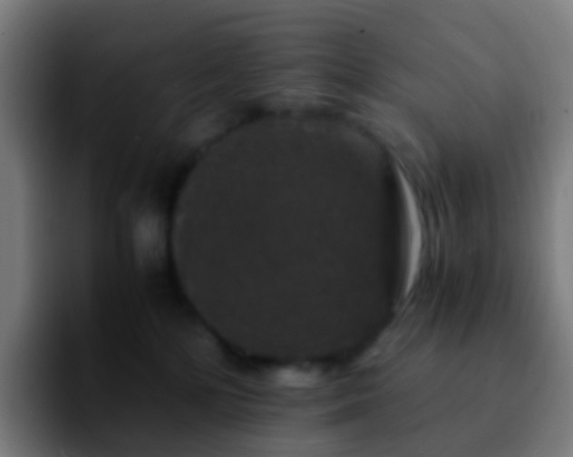 X0000092250232200709211107