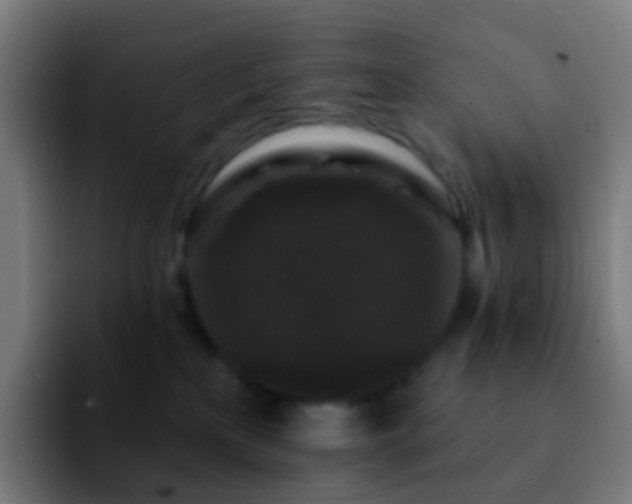 X0000092250233200709211107