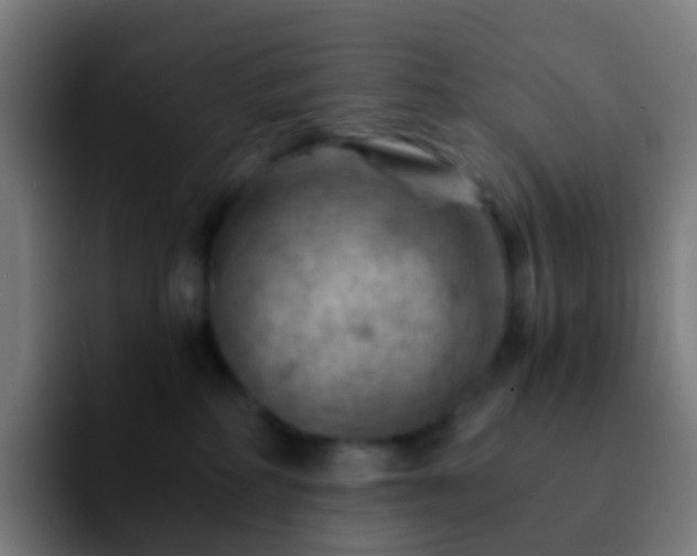 X0000092250234200709211107