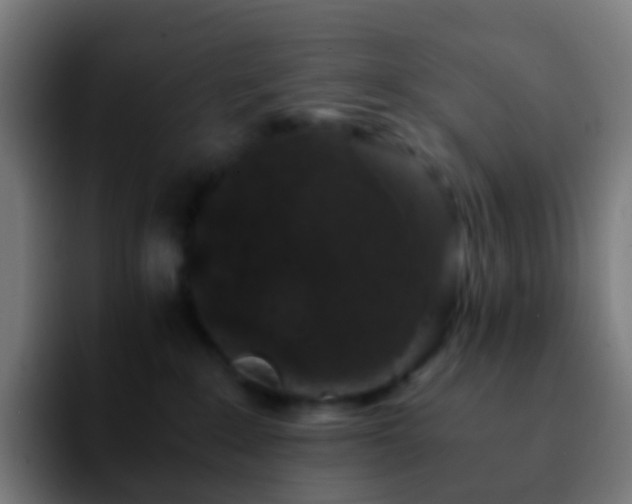 X0000092250235200709211107