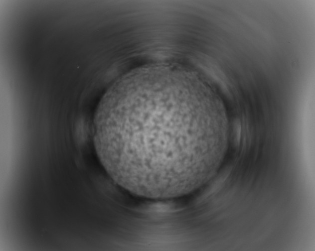 X0000092250236200709211107