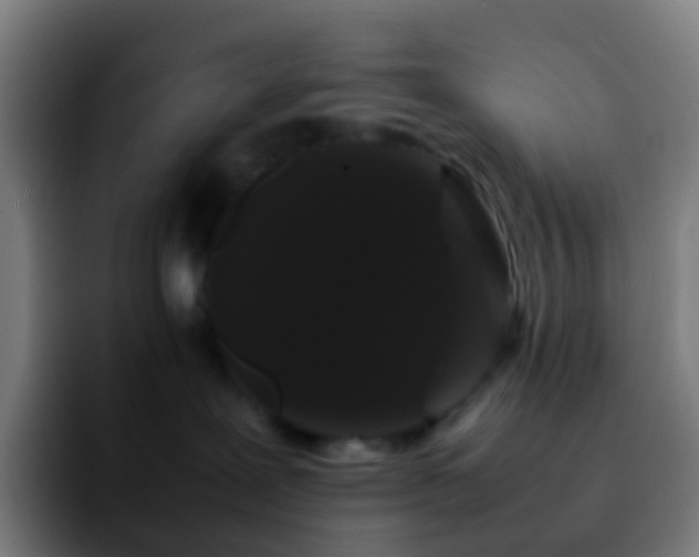 X0000092250239200709211107