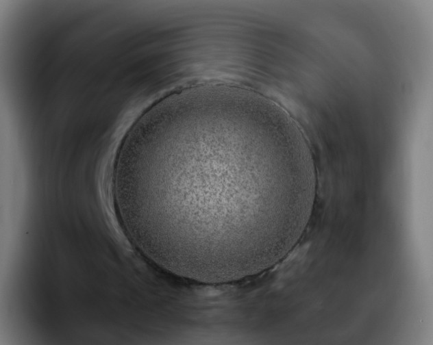 X0000092250241200709211106