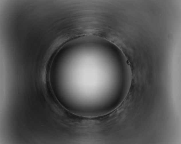 X0000092250242200709211106