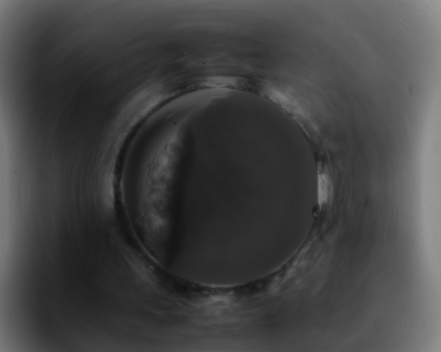 X0000092250243200709211106