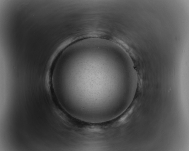 X0000092250244200709211106