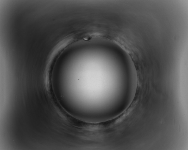 X0000092250245200709211106