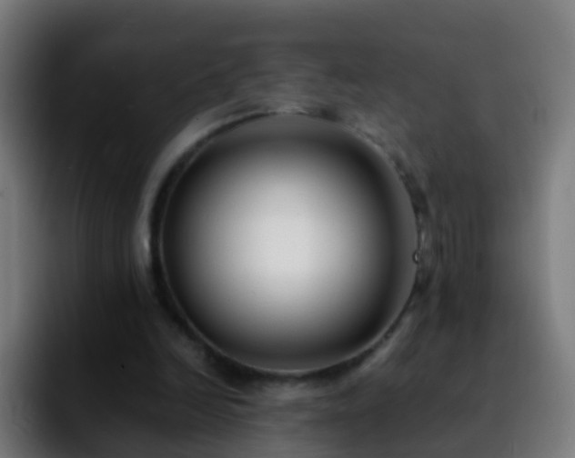 X0000092250246200709211106